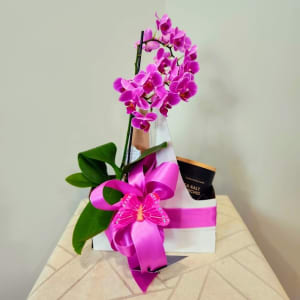 Orchid Gift Arrangement Flower Bouquet