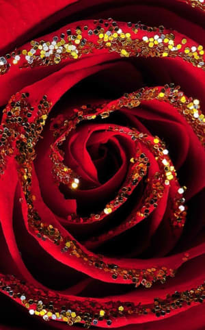 The Glitter Rose Wrapped Bouquet- choose color glitter Flower Bouquet