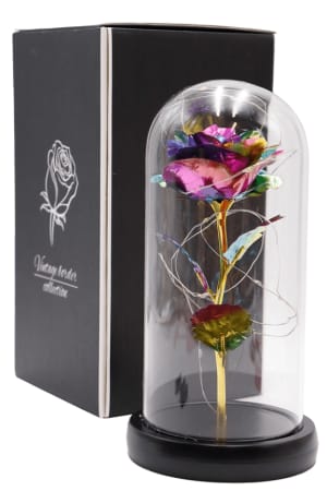 Lighted Eternity Rose in Glass Dome