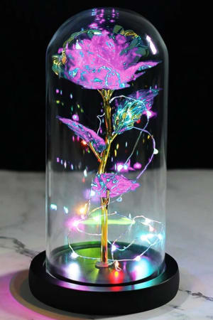 Lighted Eternity Rose in Glass Dome Flower Bouquet