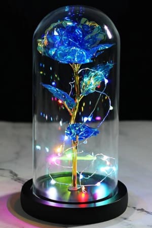 Lighted Eternity Rose in Glass Dome