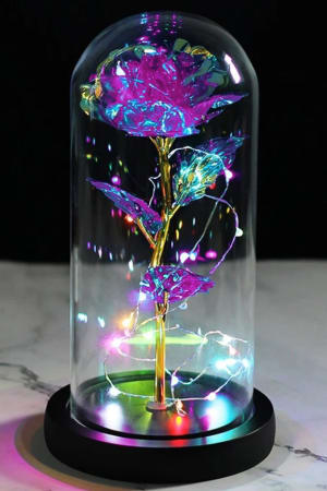 Lighted Eternity Rose in Glass Dome Flower Bouquet
