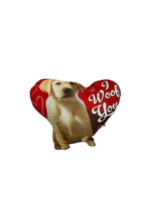 Plush Cool Material Plushies (Assorted)