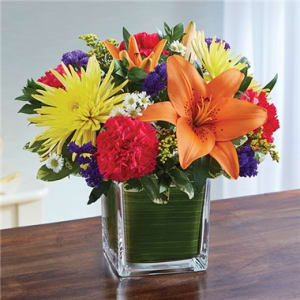 Healing Tears™ Multicolor Bright