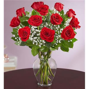 Rose Elegance™ Premium Long Stem Red Roses