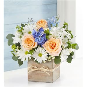 Coastal Breeze For Dad