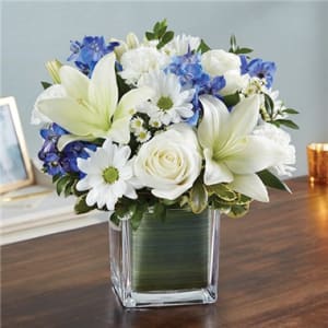 Healing Tears™ Blue & White