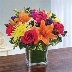 Healing Tears™ Multicolor Bright