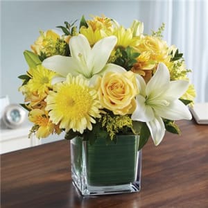 Healing Tears™ Yellow & White