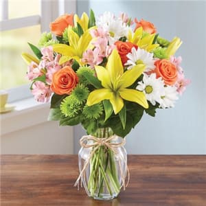 Fields Of Europe™ Sympathy