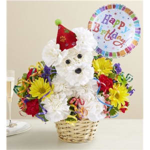 Purrfect Party Cat™