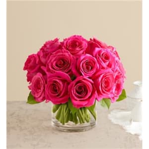 Contemporary Hot Pink Roses