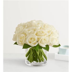 Contemporary White Roses