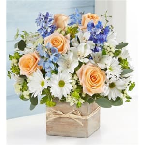 Coastal Breeze For Dad