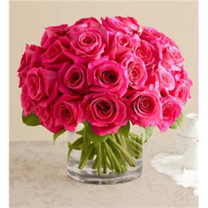Contemporary Hot Pink Roses