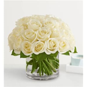 Contemporary White Roses