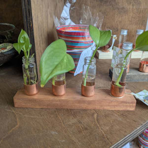 Propagation Station Flower Bouquet