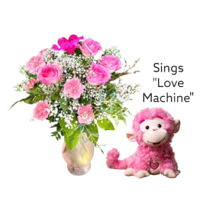 Monkey Sing, Monkey Do "I'm Just a Love Machine"