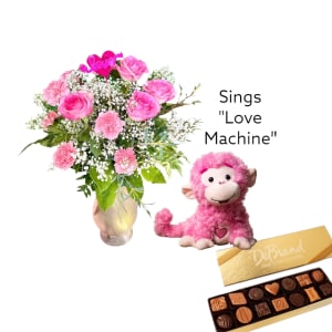 Monkey Sing, Monkey Do "I'm Just a Love Machine"