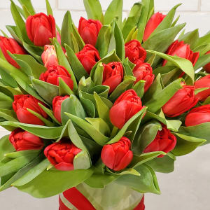 Radiantly Red Tulips Flower Bouquet