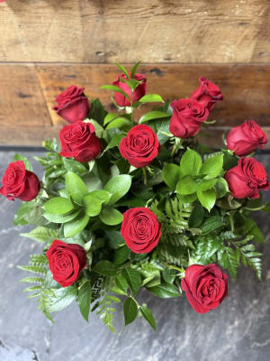 1 Dozen Red Long-Stemmed Roses
