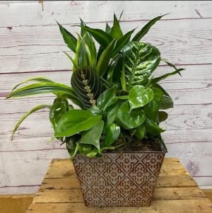 Metal Planter Dish Garden Flower Bouquet