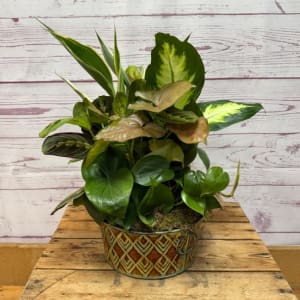 Metal Planter Dish Garden Flower Bouquet