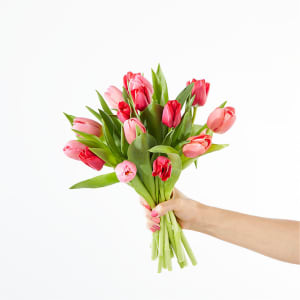 Crushing on You Tulip Bouquet Flower Bouquet