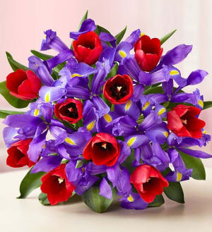 Bunches of Love Tulip & Iris Bouquet Flower Bouquet