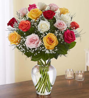 Rose Elegance™ Premium Long Stem Assorted Roses Flower Bouquet