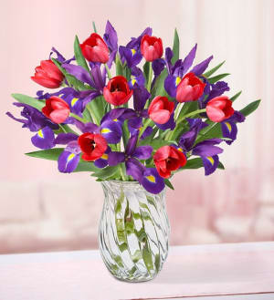 Bunches of Love Tulip & Iris Bouquet Flower Bouquet