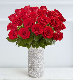Sparkle Her Day Two Dozen Red Roses Flower Bouquet