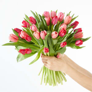 Crushing on You Tulip Bouquet Flower Bouquet