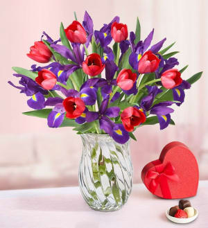 Bunches of Love Tulip & Iris Bouquet Flower Bouquet