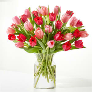 Crushing on You Tulip Bouquet Flower Bouquet