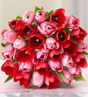 Sweetest Love Tulips Flower Bouquet