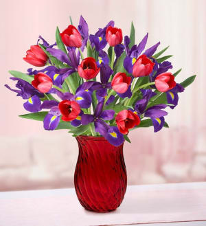 Bunches of Love Tulip & Iris Bouquet Flower Bouquet