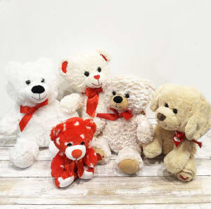 Valentine's Day Assorted Plush