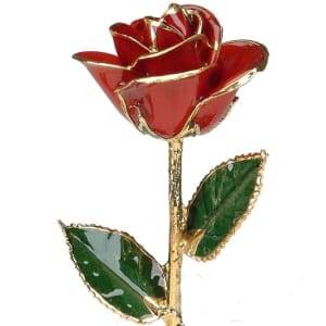 Red Rose Trimmed in 24k Gold
