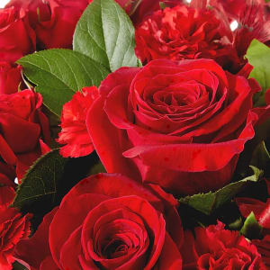 Designer's Choice Premium Rose Arrangement Flower Bouquet