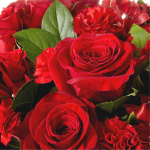 Designer's Choice Premium Rose Arrangement Flower Bouquet