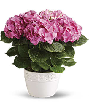 Happy Hydrangea - Pink Flower Bouquet