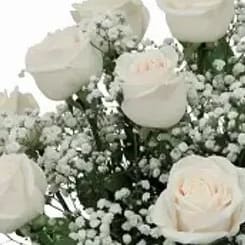 Dozen Rose Special - No Tubes Flower Bouquet