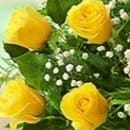 Dozen Rose Special - No Tubes Flower Bouquet