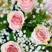 Dozen Rose Special - No Tubes Flower Bouquet