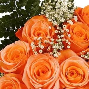 Dozen Rose Special - No Tubes Flower Bouquet