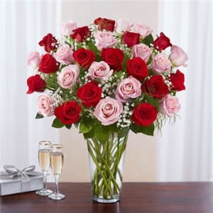 Ultimate Elegance Long Stem Pink and Red Roses Flower Bouquet