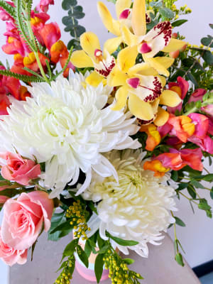 Adrienne's Rainbows & Sunshine