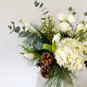 Adrienne's All Spruced Up