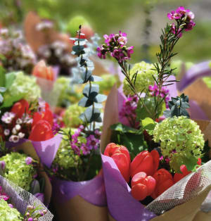 Dutch Touch Tulips